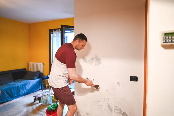Best Bathroom Mold Remediation in Marlinton, WV