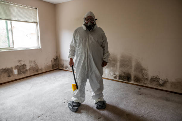 Best Emergency Mold Remediation in Marlinton, WV